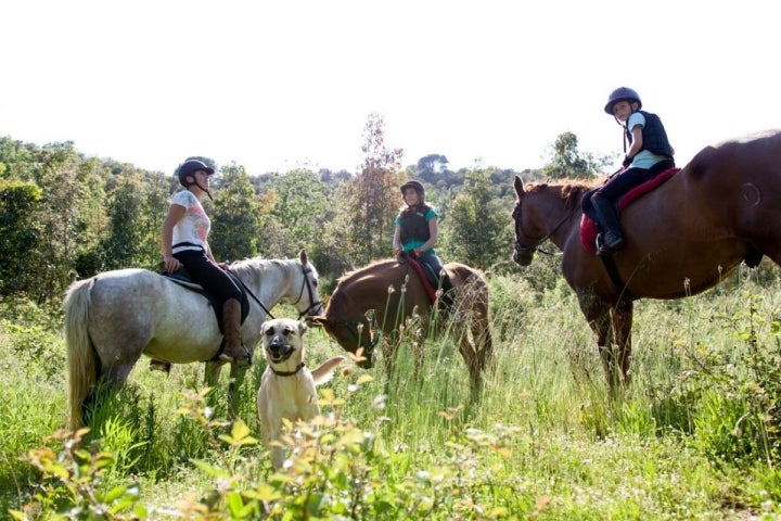 Recorrer a caballo la zona de Arbucies es una buena opción.