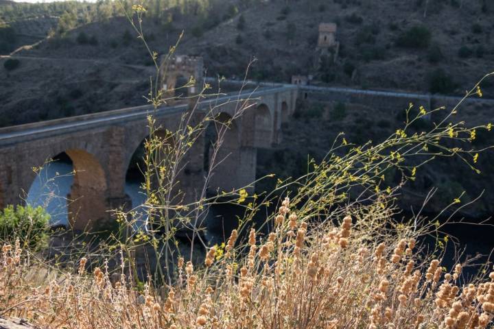 A su llegada a Alcántara, el Tajo atraviesa su famoso puente romano.
