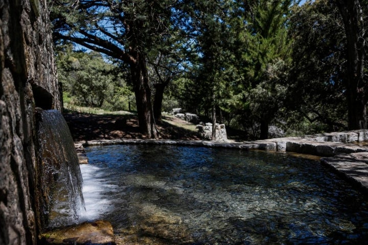 fuente fuenmayor sierra magina