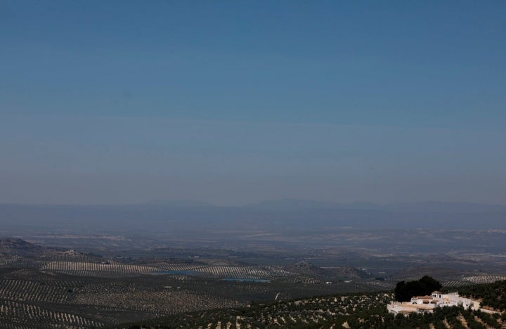 Los olivares abarcan hasta donde llega la vista.