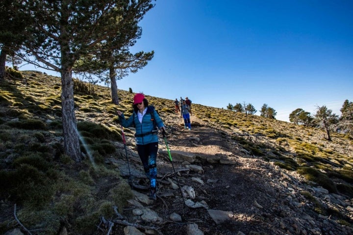 Bajada de senderistas la cima de Penyagolosa.