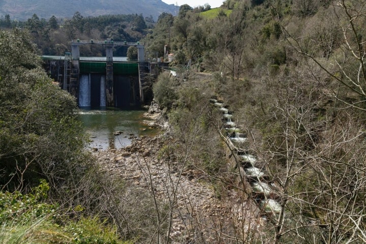 Presa de Palombera