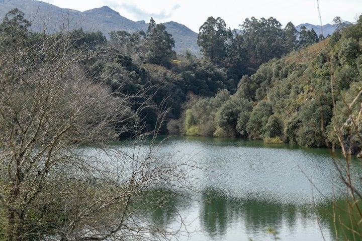 Presa de Palombera