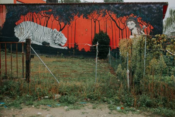 Street art en Ordes: obra 'Cosmos' de Diana Rodeiro