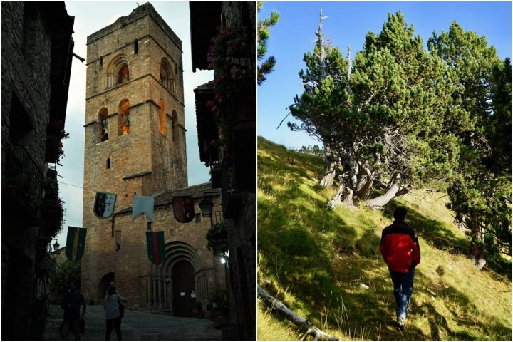 Campanario de la iglesia de Santa María y bosque de pinos negros.