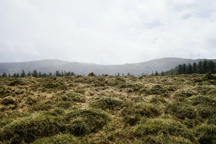 Turberas de Serra do Xistral