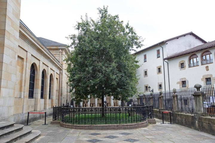 roble casa de juntas gernika