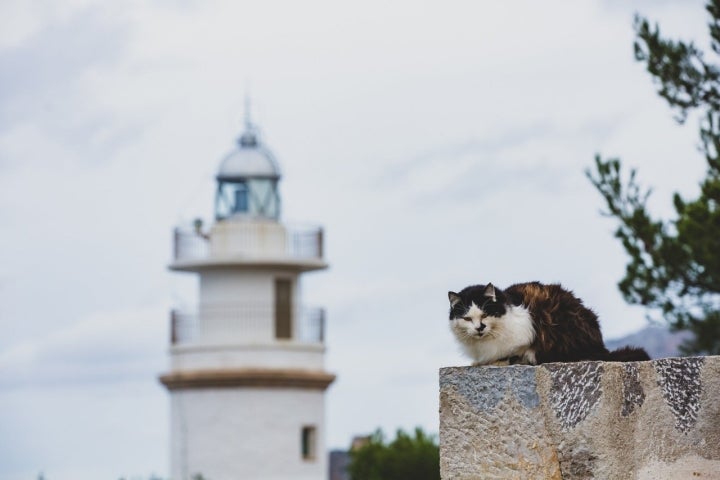 faro cap de gros