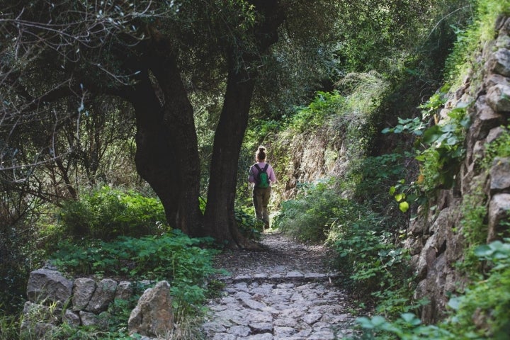 pedra en sec tramuntana