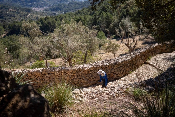 Por los antiguos caminos empedrados del interior de Mallorca.