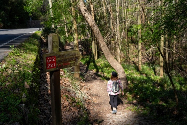 El Camí des Correu es una antigua vía de comunicación que une los pueblos de Esporles y Banyalbufar.