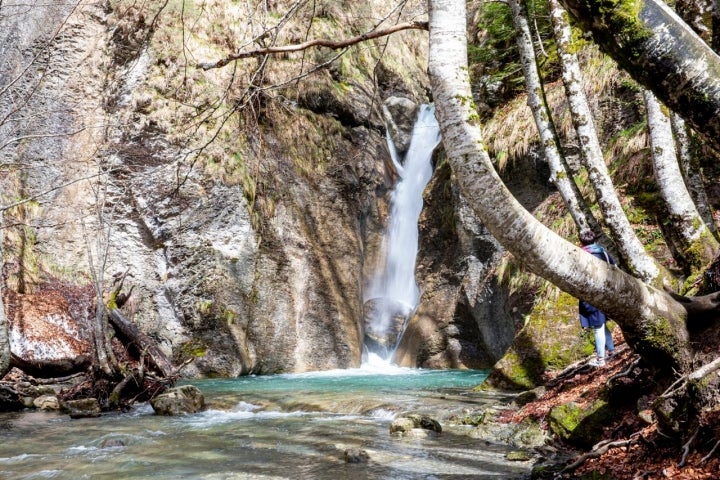 Cascada Arrako