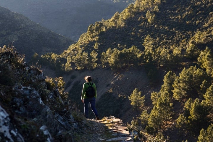 El senderismo en la región revela caminos increíbles como este de la Majá Robledo.