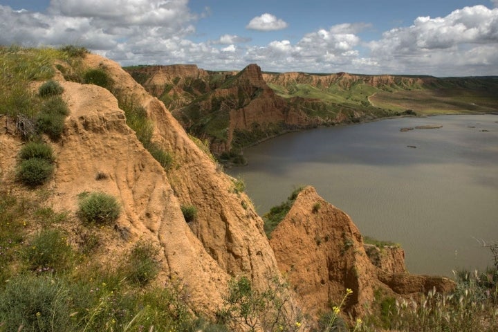 Barrancas de Castrejón.