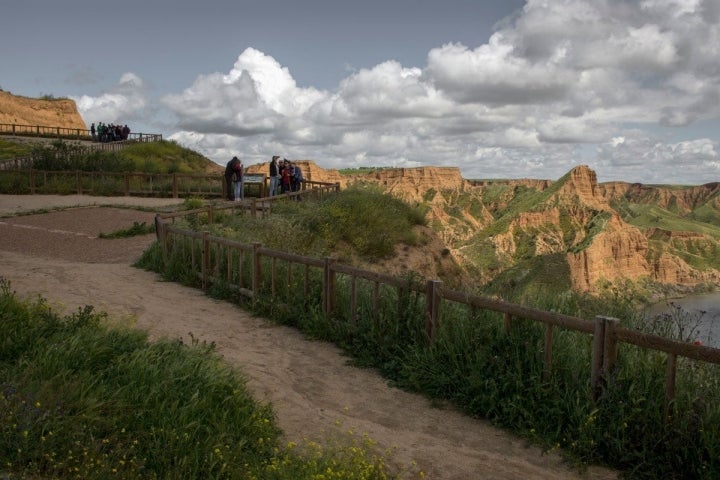 Barrancas de Castrejón y miradores.