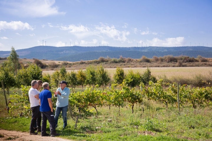 Foces de Lumbier y Arbayun: finca Bordablanca