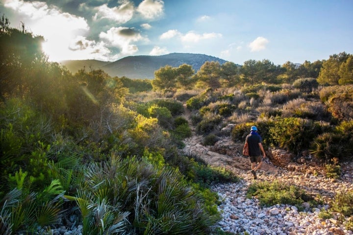 Desde la cala Ribamar se accede a pequeños senderos naturales para continuar con el recorrido.