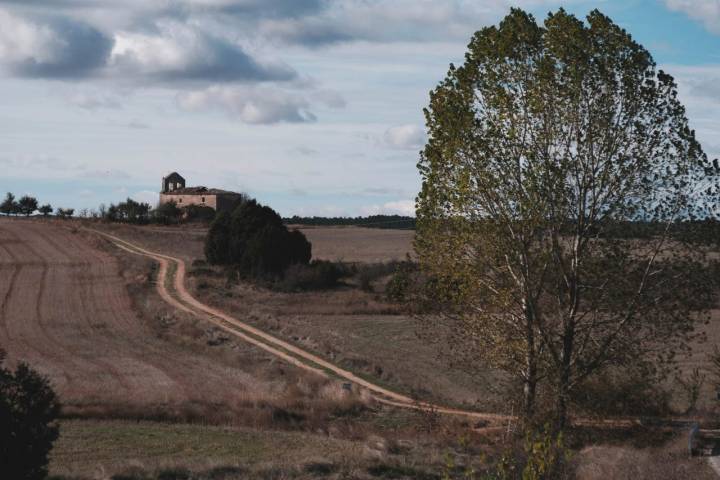 Camino que conduce al pueblo abandonado de La Mercadera, en Soria.