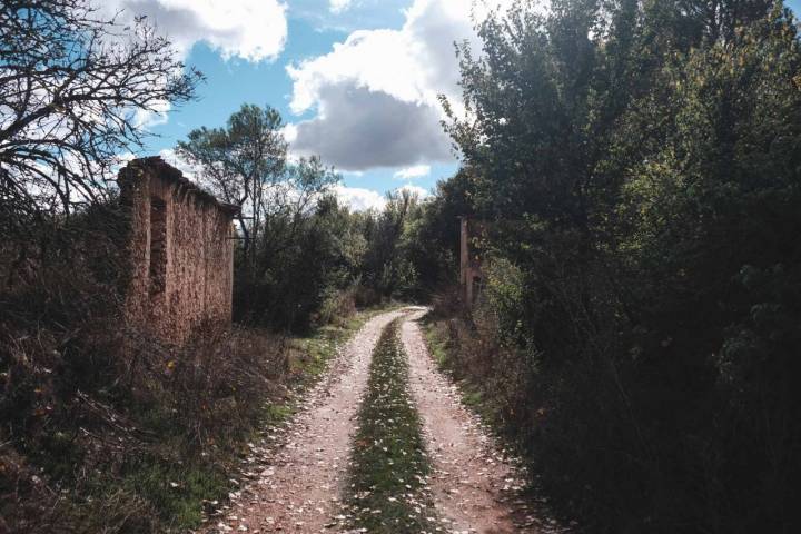 Camino del pueblo abandonado Escobosa de Calatañazor.