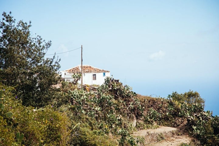 Senderos de Anaga, Tenerife. Fotos: Rocío Eslava