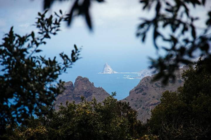 Senderos de Anaga, Tenerife. Fotos: Rocío Eslava