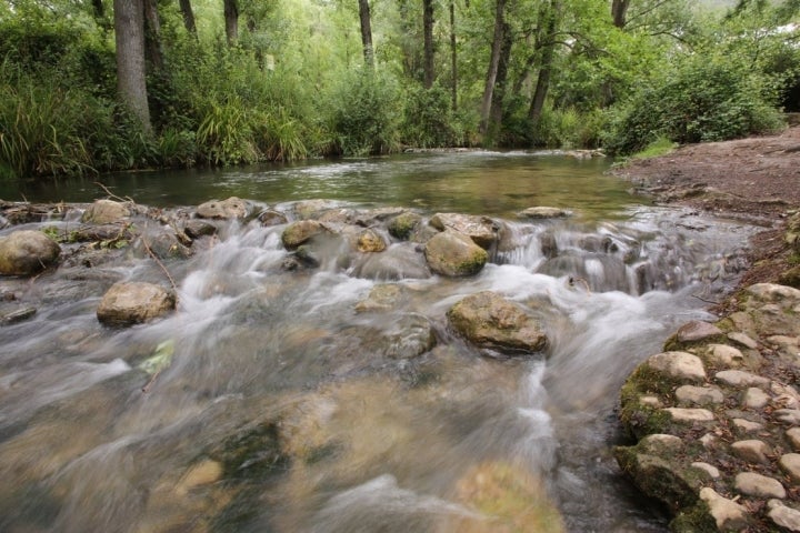 Senderismo El Bosque