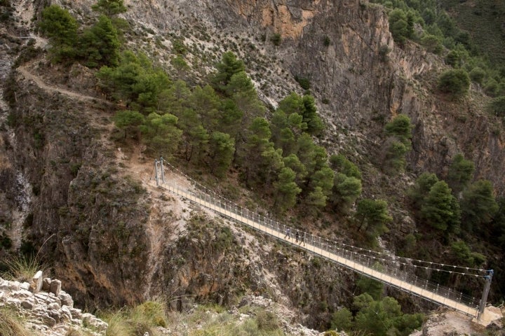 puente el saltillo