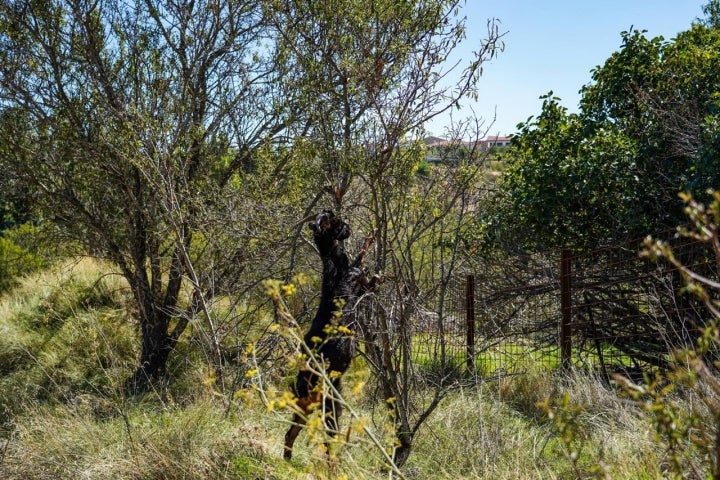 Riberas Castronuño