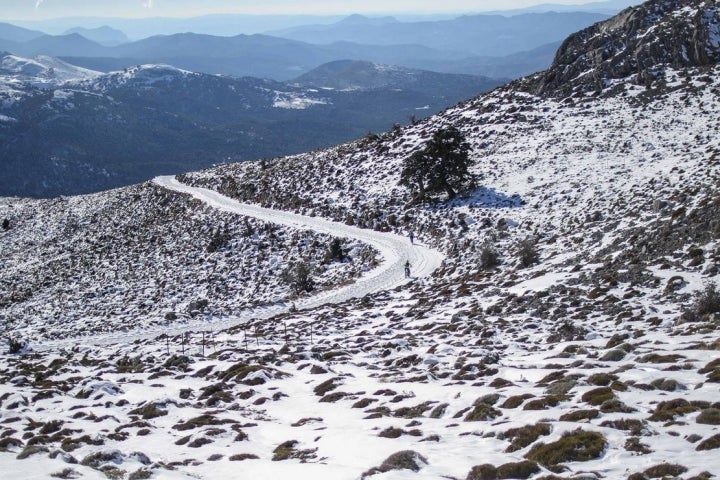 pista ascenso puerto pilones sierra de nieves malaga