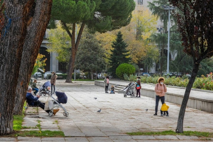 jardines nuevos