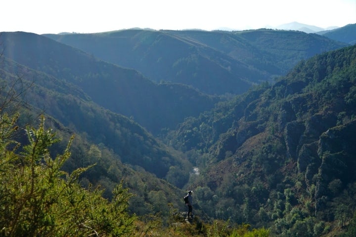 Las Hoces del Esva son un Monumento Natural desde 2002.