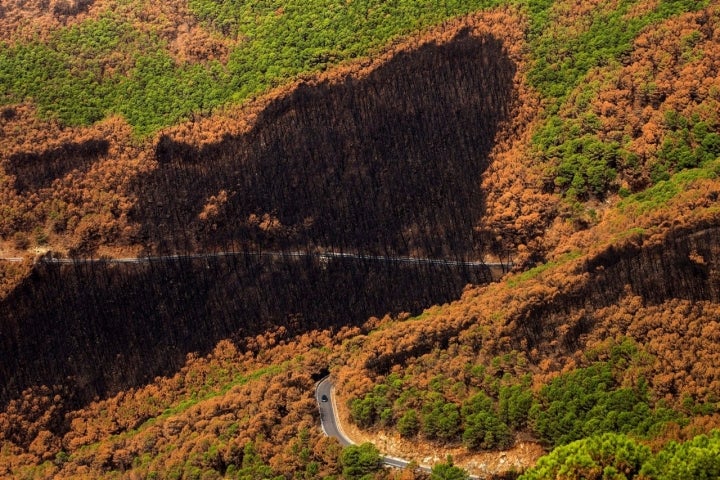 Incendio Valle del Genal