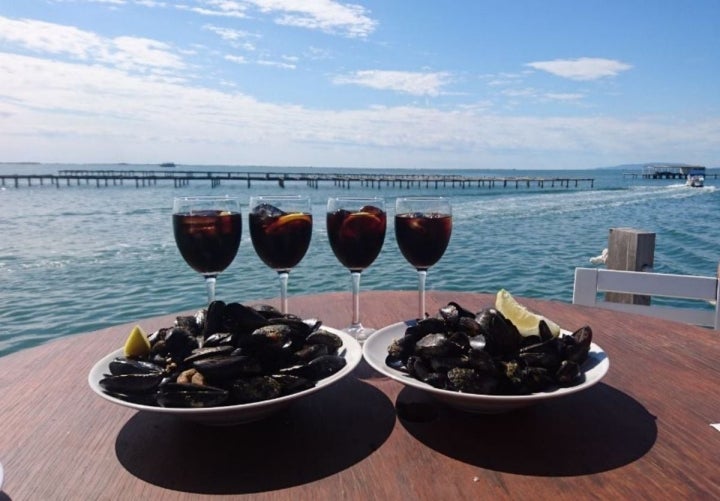 Mejillones en el Musclarium, en la bahía del Alfacs. Foto: Musclarium.