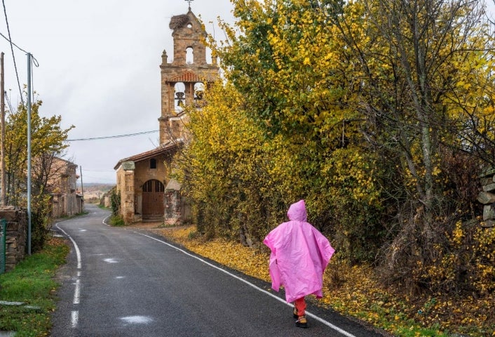 El Ganso, en el Camino de Santiago.