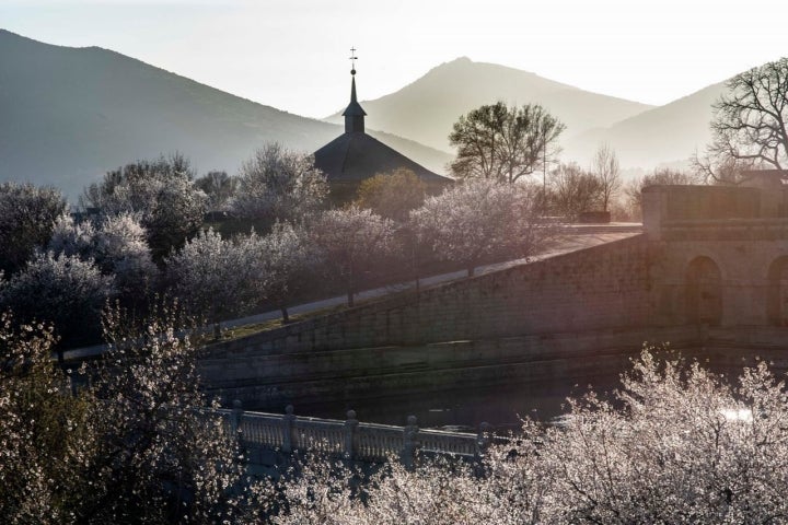 La magia de la luz a primera hora de la mañana entre los frutales.