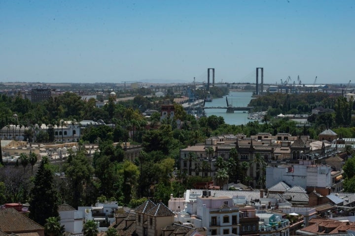 Desde La Giralda, tras luchar por un sitio.