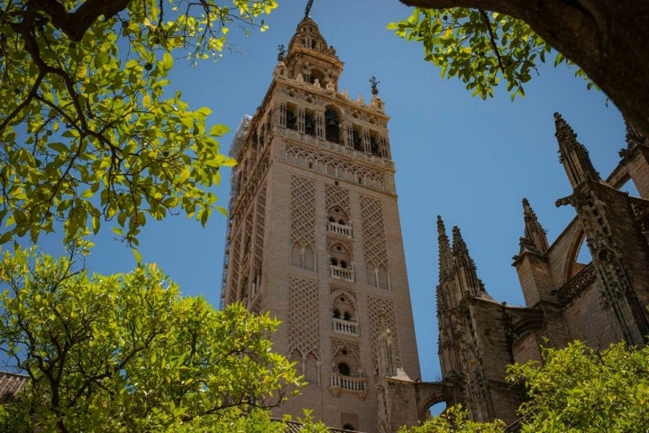 giralda catedral