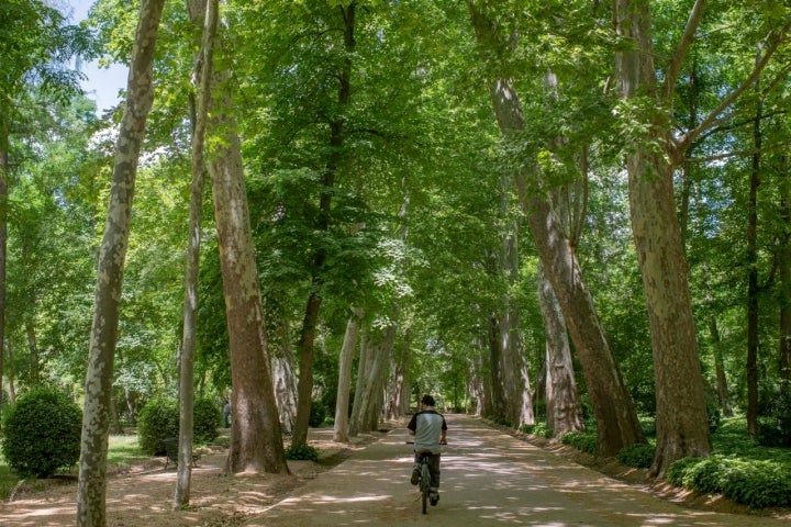 Jardín Palacio de Aranjuez