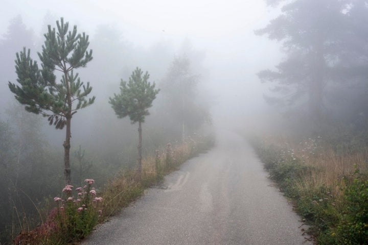 carretera camino primitivo