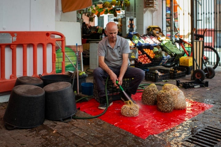 Lavando caracoles y cabrillas en el Mercado de Abastos de la Feria.