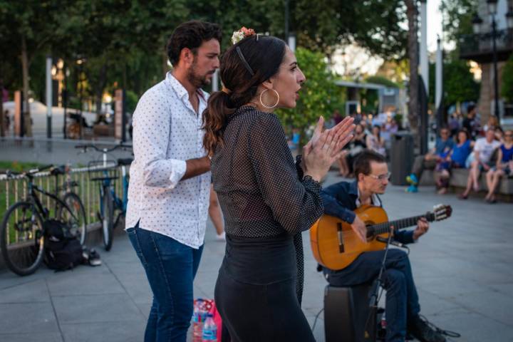 Detalle del espectáculo de grupo de flamenco en las calles de Sevilla.