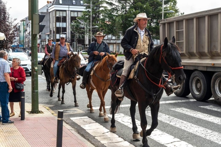 Los caballos también peregrinan.