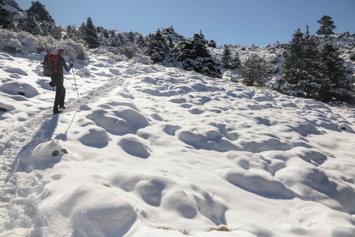 Pico Torrecilla nevado