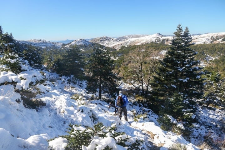 Pico Torrecilla