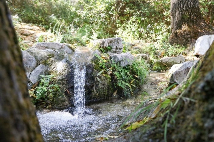 Área Recreativa de la Fuensanta