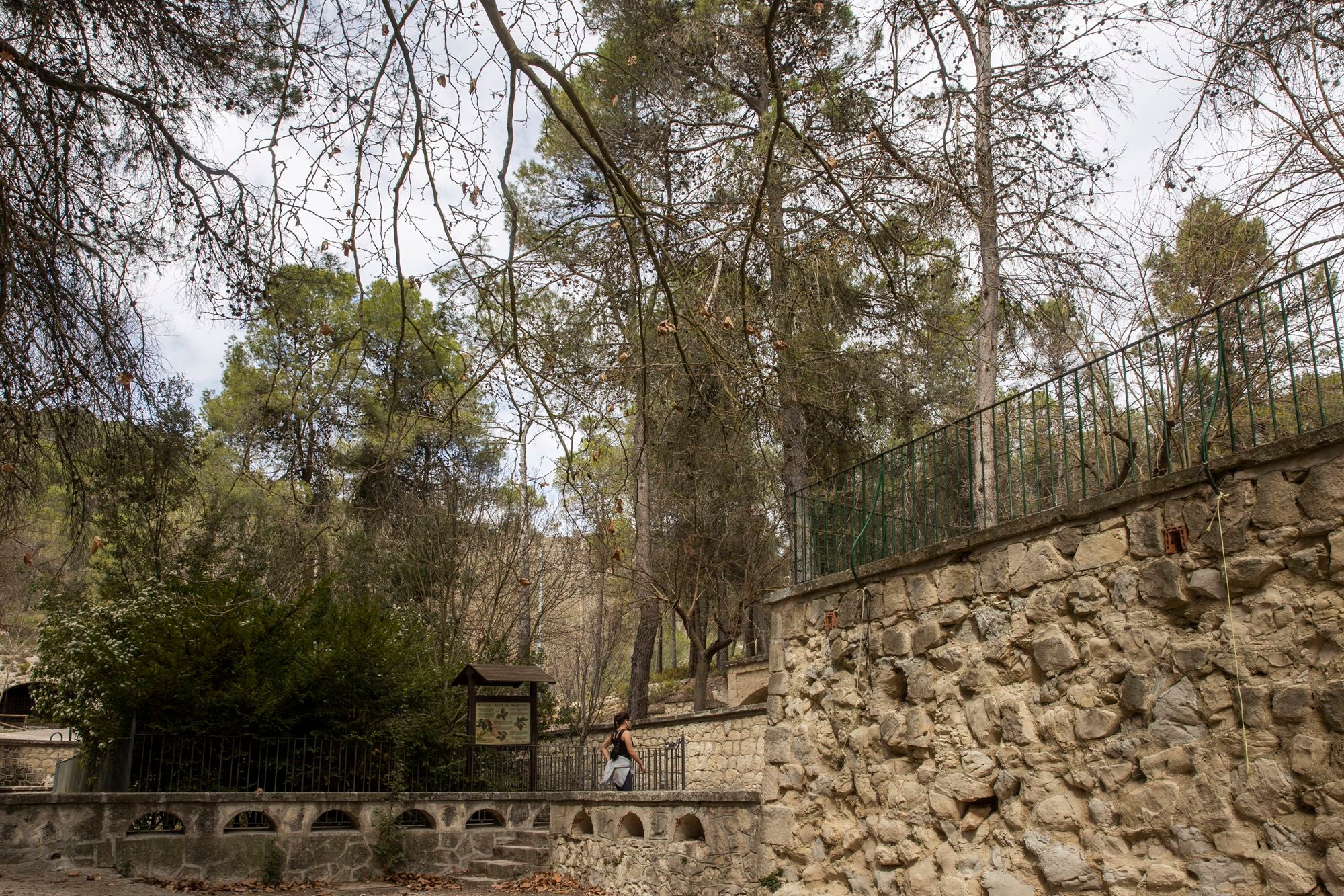 Preventori Alcoy