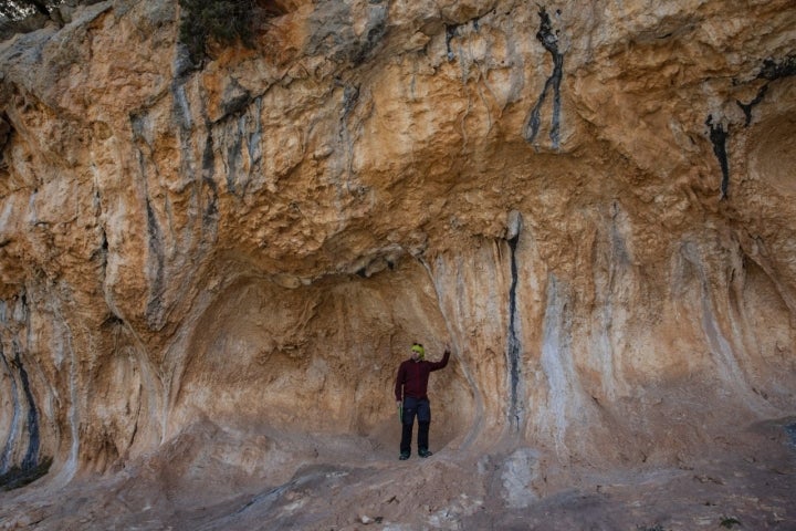 La Sarga Alcoy