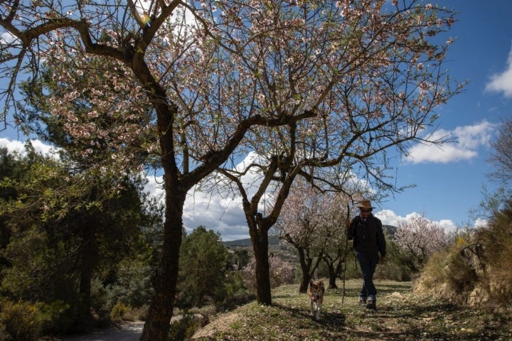 Rutas de Primavera Alcoy. La Sarga