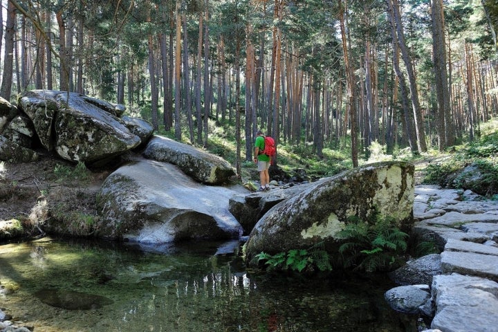 Carlos III construyó las pesquerías reales en plena Sierra de Guadarrama para dar rienda suelta a su pasión por la pesca.