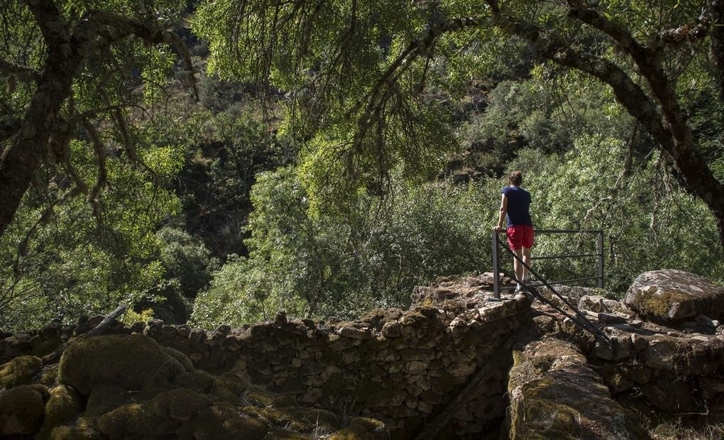 La ruta de los Molinos, imprescindible.